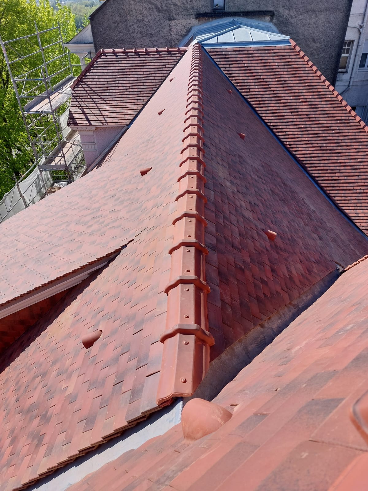20140821_104436.jpg