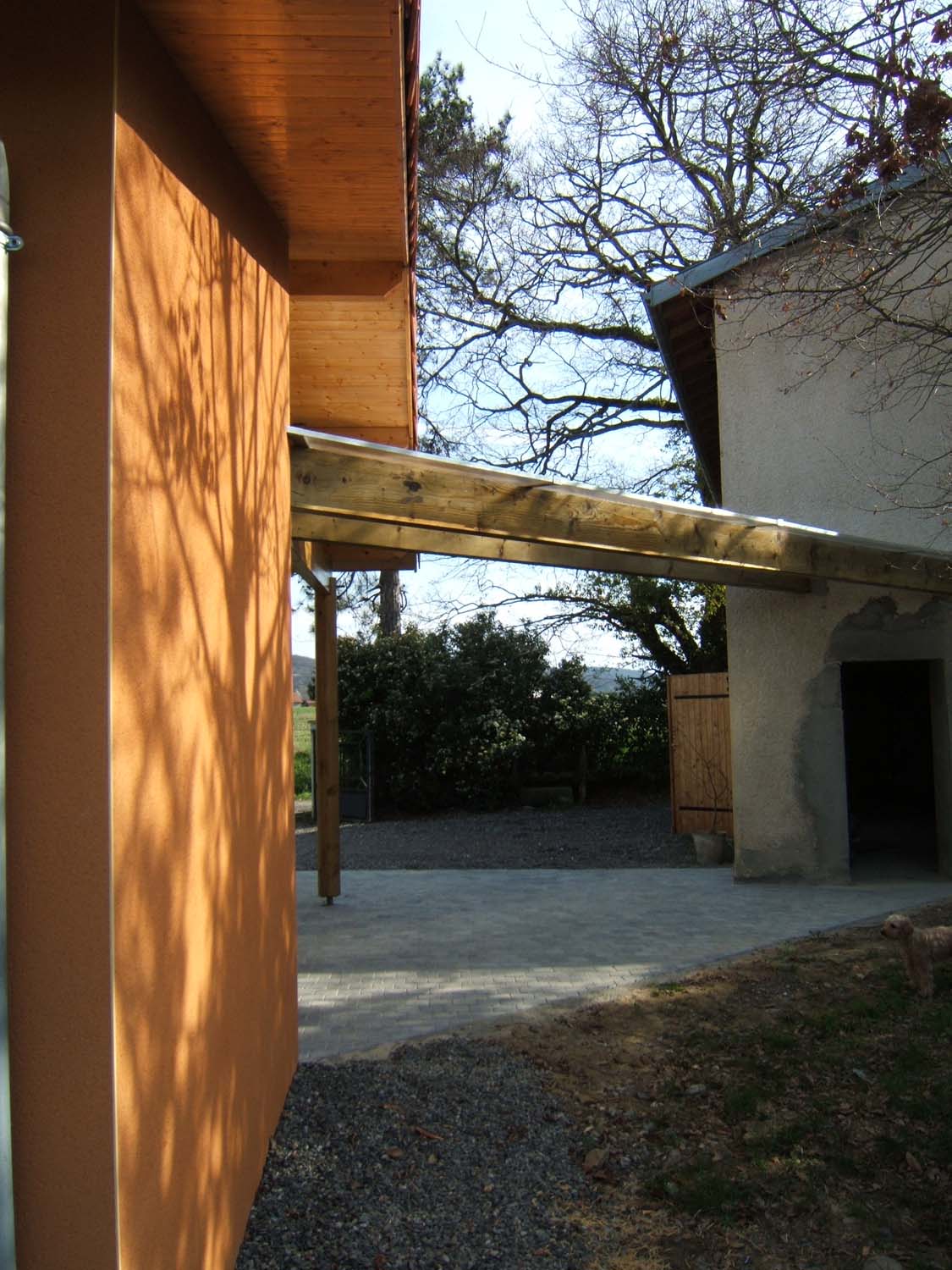 junca 07.jpg